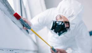 Professional Pest Control in Dagsboro, DE